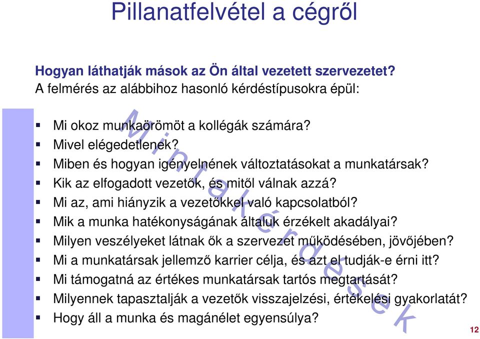 Mik a munka hatékonyságának általuk érzékelt akadályai? Milyen veszélyeket látnak ők a szervezet működésében, jövőjében?