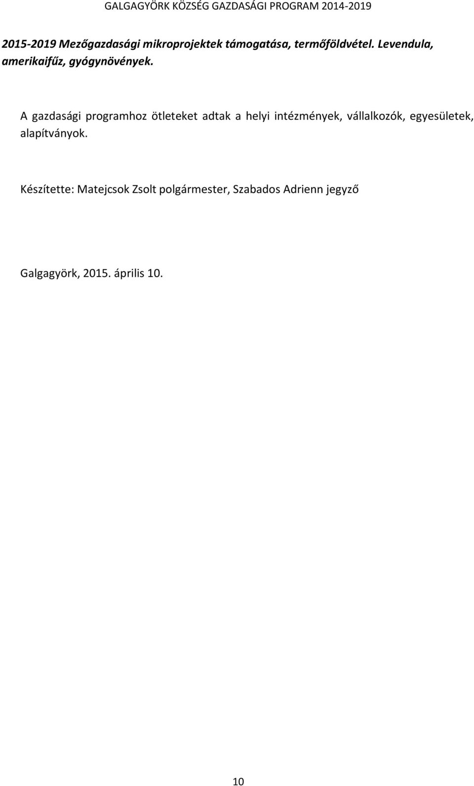A gazdasági programhoz ötleteket adtak a helyi intézmények, vállalkozók,