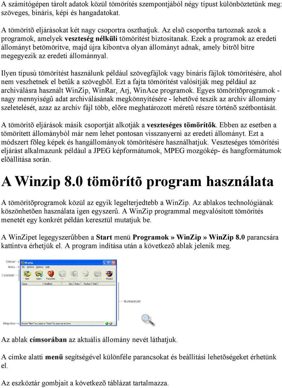 Ezek a programok az eredeti állományt betömörítve, majd újra kibontva olyan állományt adnak, amely bitrõl bitre megegyezik az eredeti állománnyal.