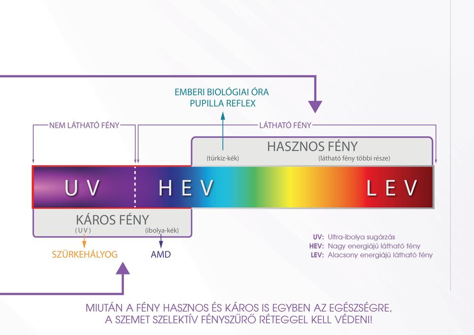 Ultra-ibolya sugárzás HEV: Nagy energiájú látható fény LEV: Alacsony energiájú látható fény