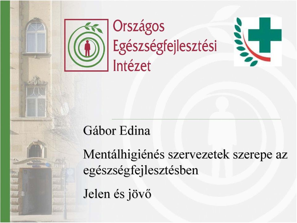 szerepe az egészs szségfejleszt szervezet?