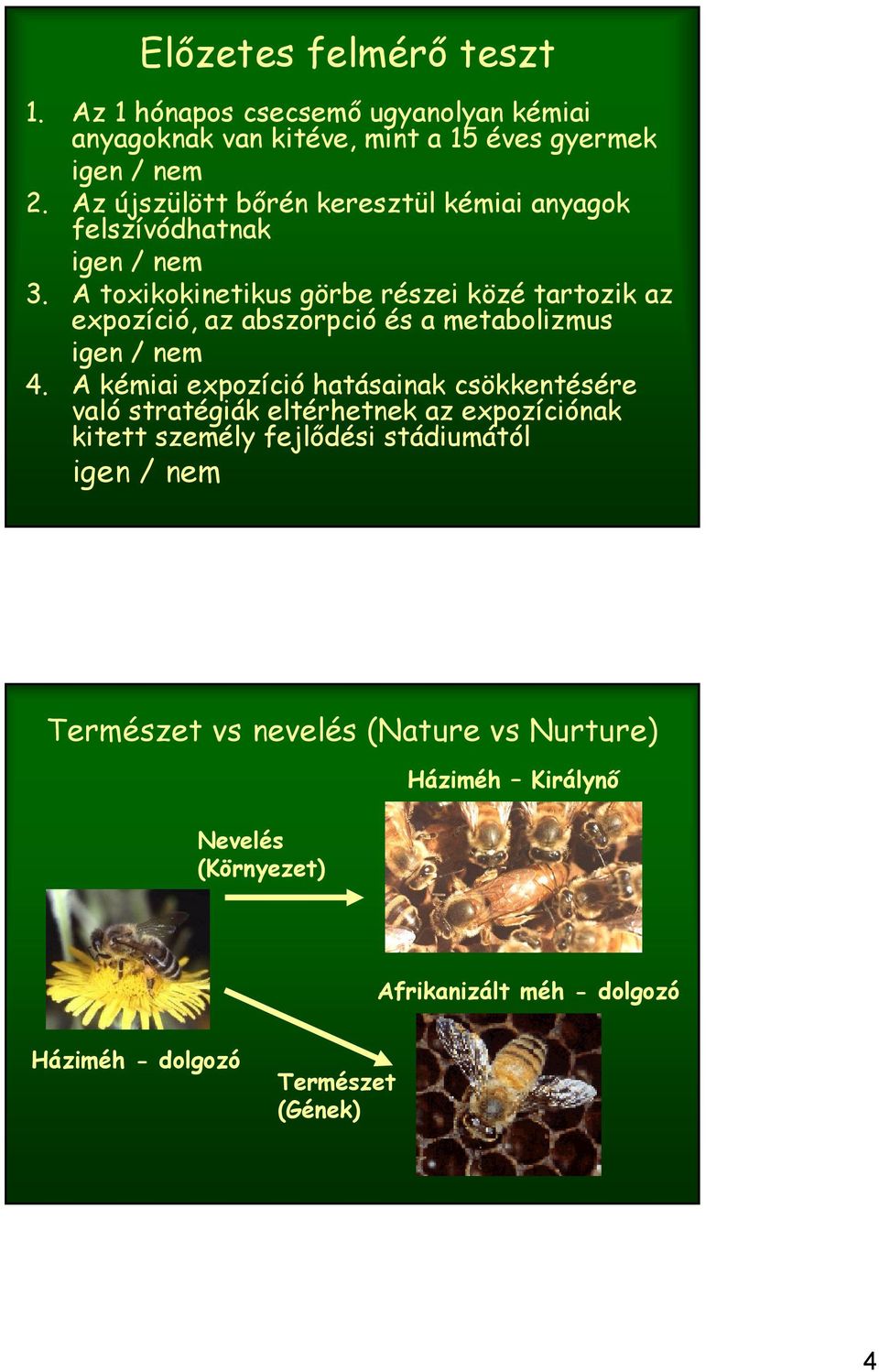 A toxikokinetikus görbe részei közé tartozik az expozíció, az abszorpció és a metabolizmus igen / nem 4.