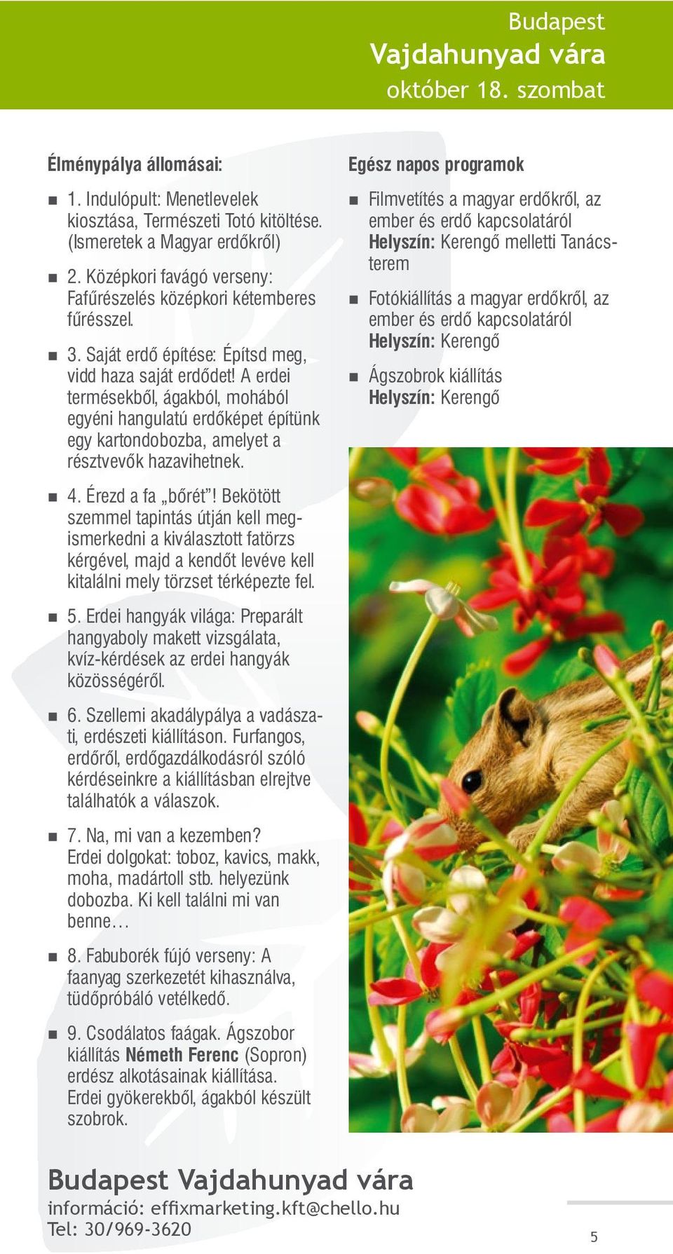 A erdei termésekből, ágakból, mohából egyéni hangulatú erdőképet építünk egy kartondobozba, amelyet a résztvevők hazavihetnek. 4. Érezd a fa bőrét!
