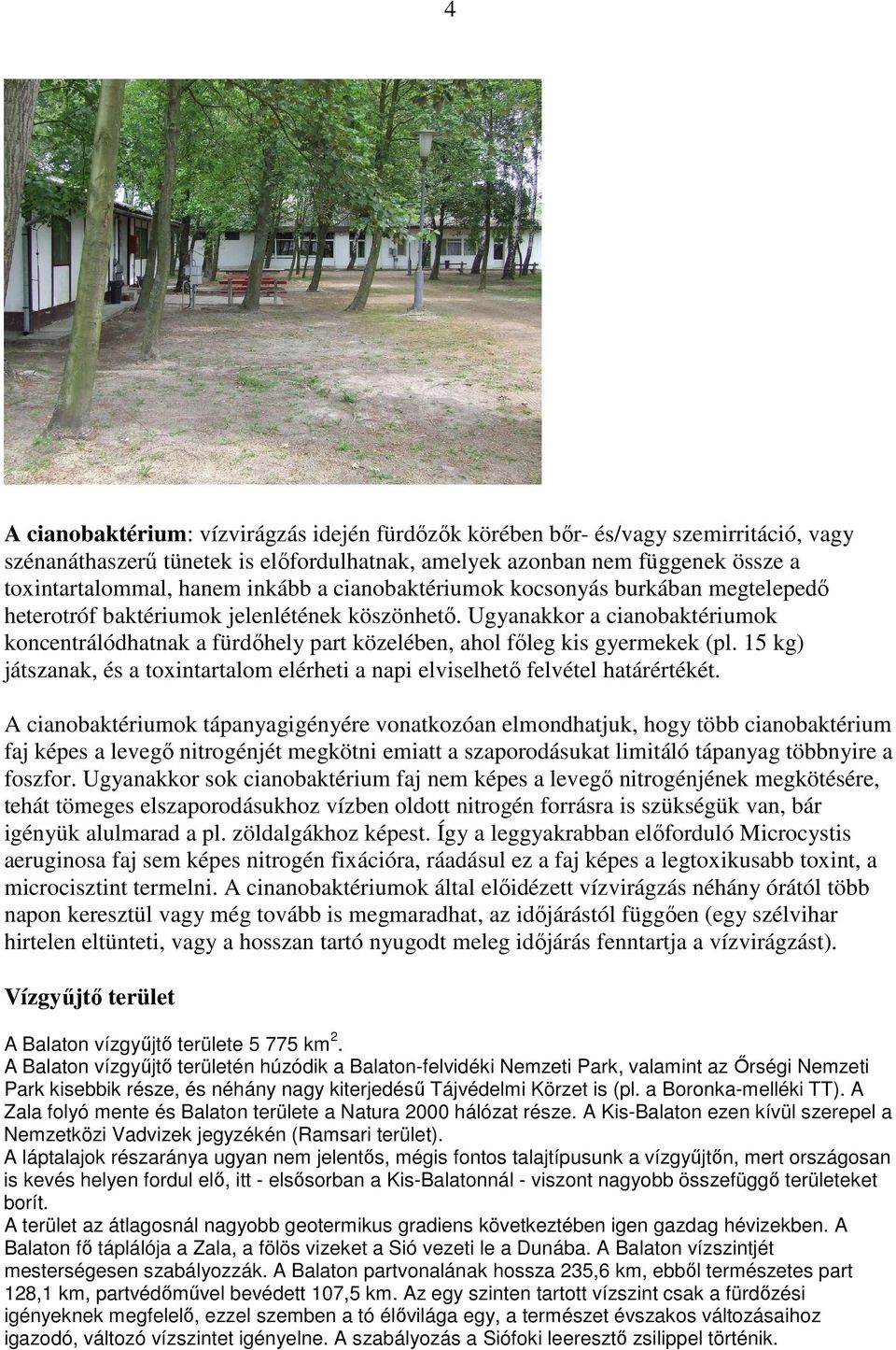 Ugyanakkor a cianobaktériumok koncentrálódhatnak a fürdıhely part közelében, ahol fıleg kis gyermekek (pl. 15 kg) játszanak, és a toxintartalom elérheti a napi elviselhetı felvétel határértékét.