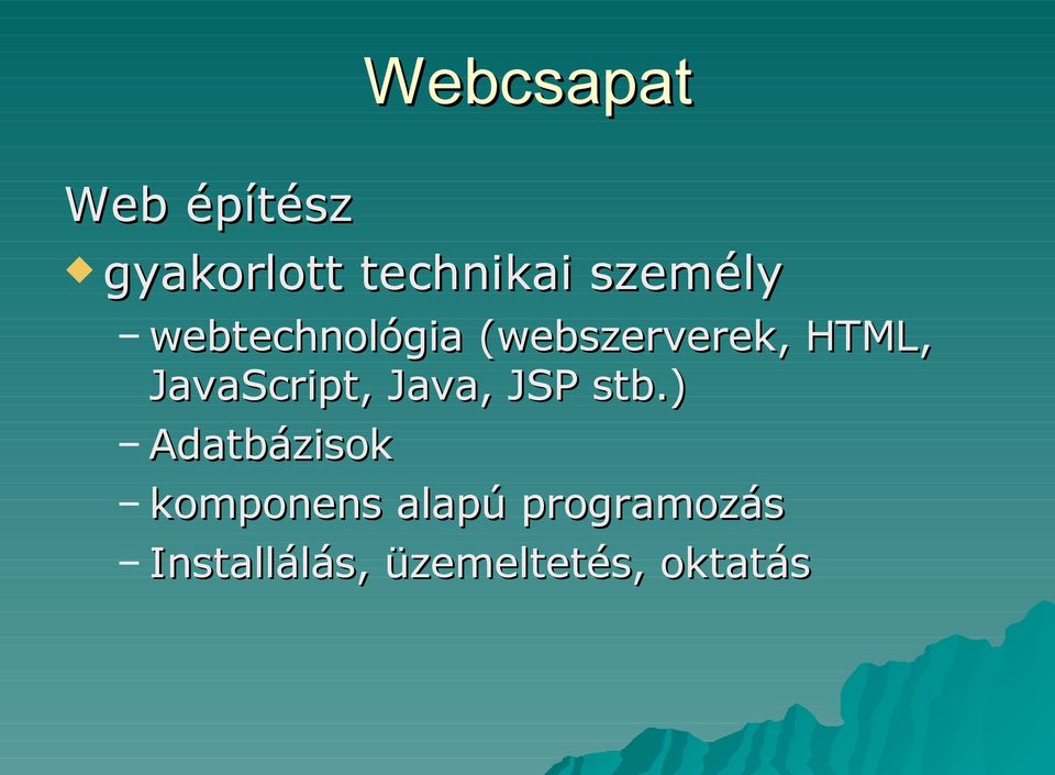 JavaScript, Java, JSP stb.