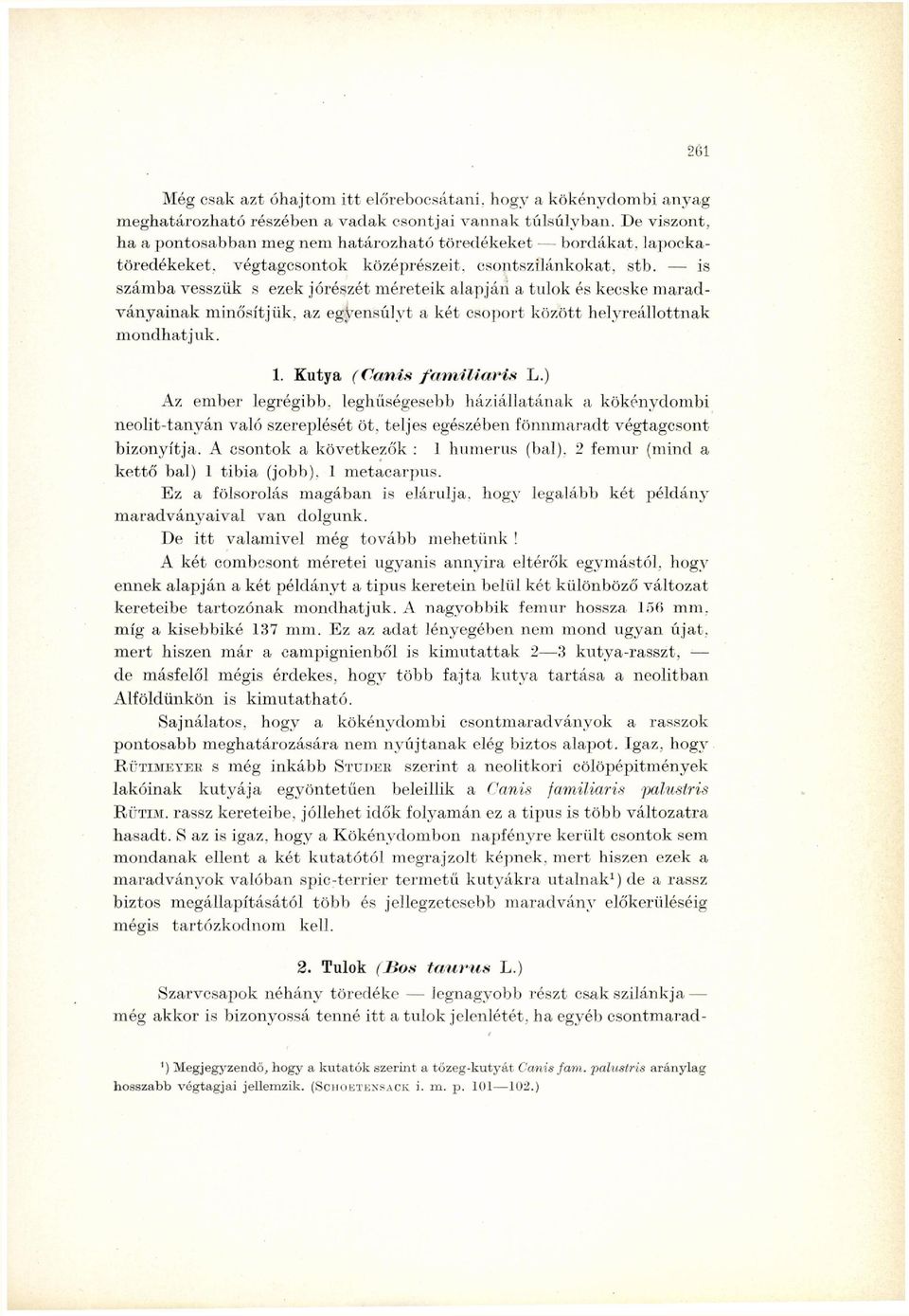 is számba vesszük s ezek jórészét méreteik alapján a tulok és kecske maradványainak minősítjük, az egyensúlyt a két csoport között helyreállottnak mondhatjuk. 1. Kutya (Canis familiáris L.