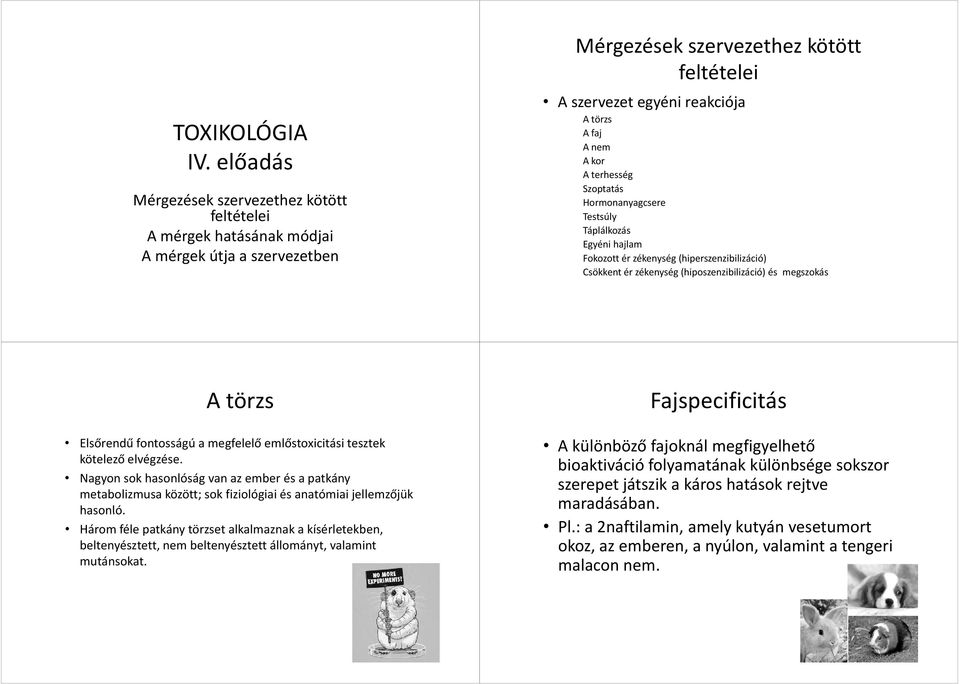 kor A terhesség Szoptatás Hormonanyagcsere Testsúly Táplálkozás Egyéni hajlam Fokozott ér zékenység(hiperszenzibilizáció) Csökkent ér zékenység(hiposzenzibilizáció) és megszokás A törzs Elsőrendű