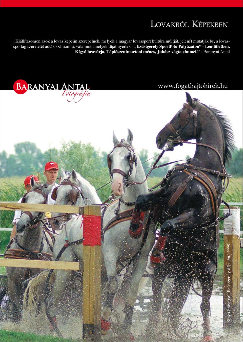 nyertek - Ezüstgerely Sportfotó Pályázaton - Lendületben, Kígyó bravúrja, Tápiószentmártoni ménes,