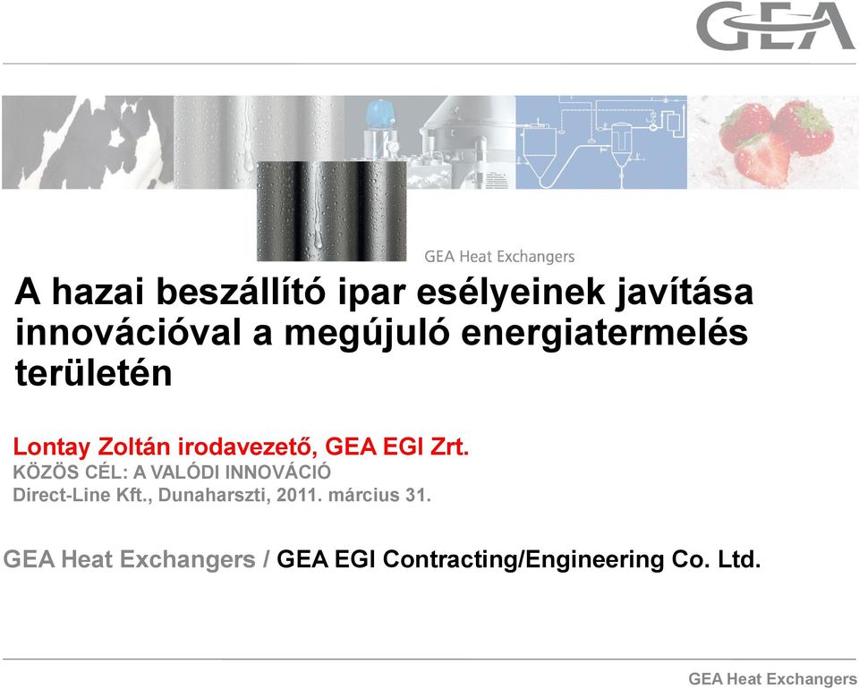 GEA EGI Zrt. KÖZÖS CÉL: A VALÓDI INNOVÁCIÓ Direct-Line Kft.