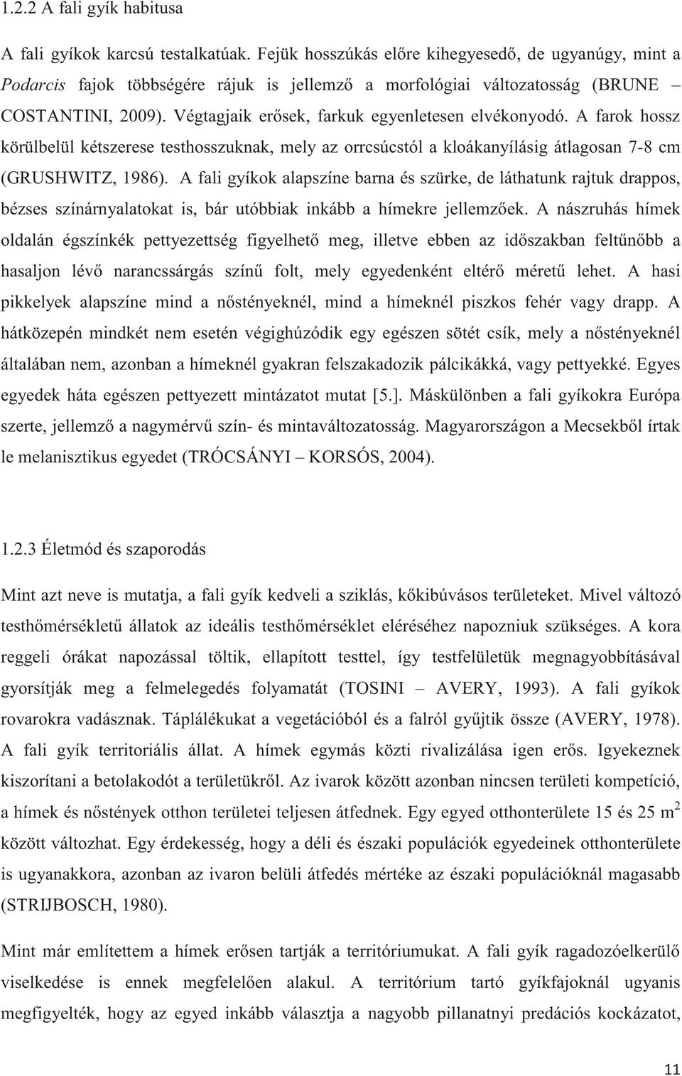 Végtagjaik erősek, farkuk egyenletesen elvékonyodó. A farok hossz körülbelül kétszerese testhosszuknak, mely az orrcsúcstól a kloákanyílásig átlagosan 7-8 cm (GRUSHWITZ, 1986).