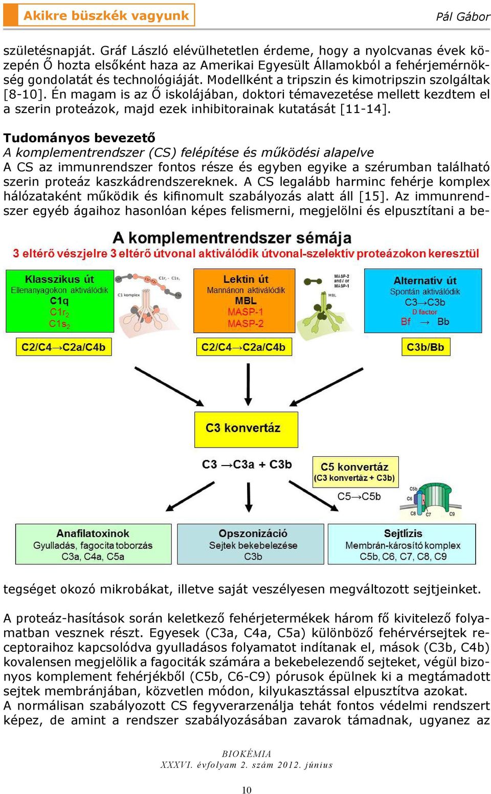 Modellként a tripszin és kimotripszin szolgáltak [8-10]. Én magam is az Ő iskolájában, doktori témavezetése mellett kezdtem el a szerin proteázok, majd ezek inhibitorainak kutatását [11-14].