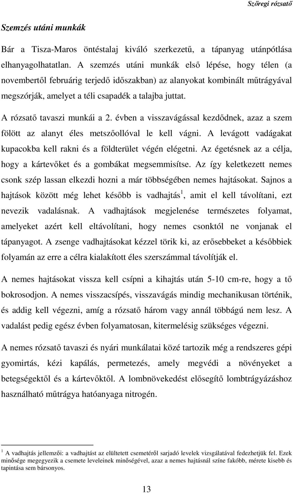 A rózsatő tavaszi munkái a 2. évben a visszavágással kezdődnek, azaz a szem fölött az alanyt éles metszőollóval le kell vágni.
