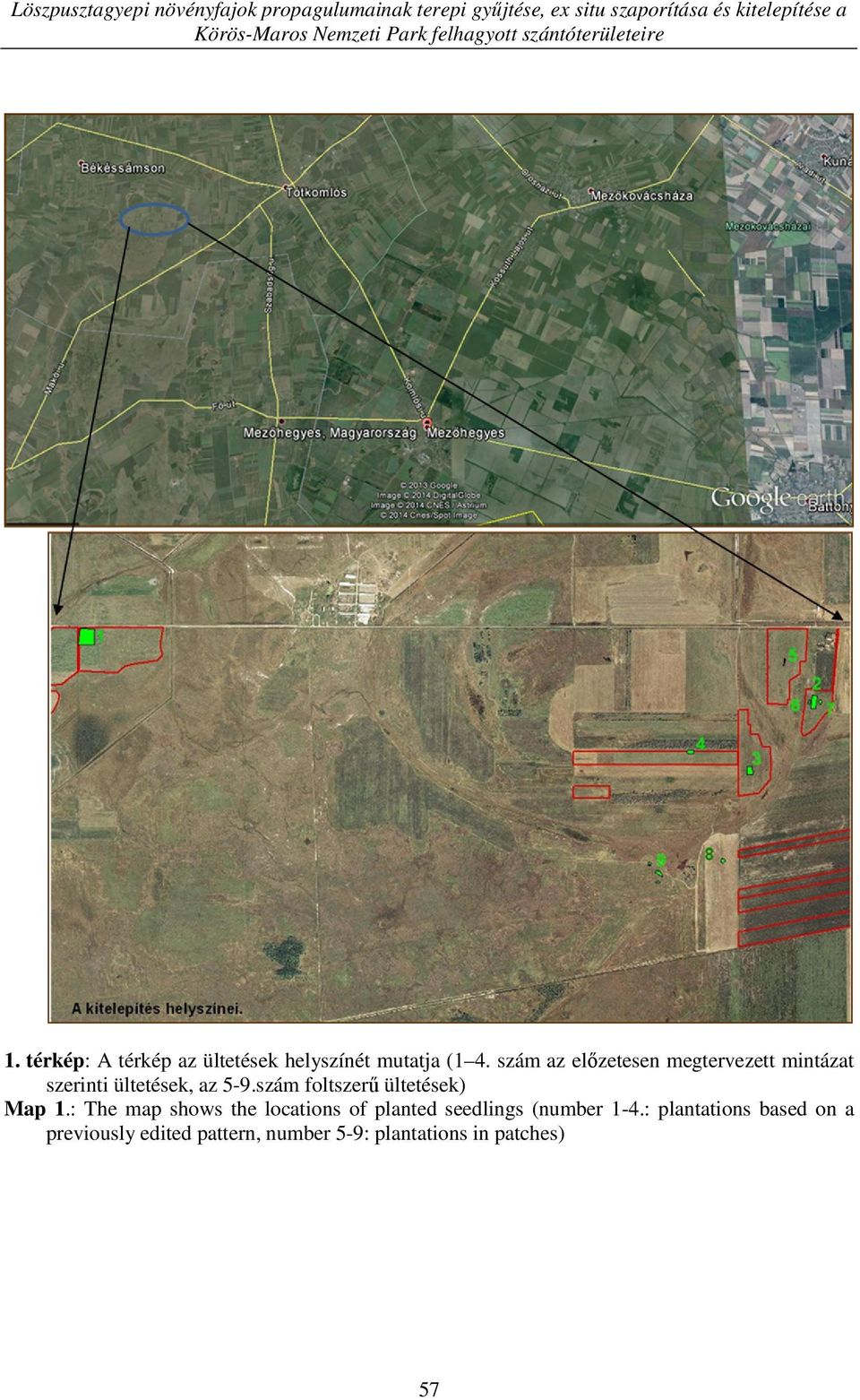szám az előzetesen megtervezett mintázat szerinti ültetések, az 5-9.szám foltszerű ültetések) Map 1.