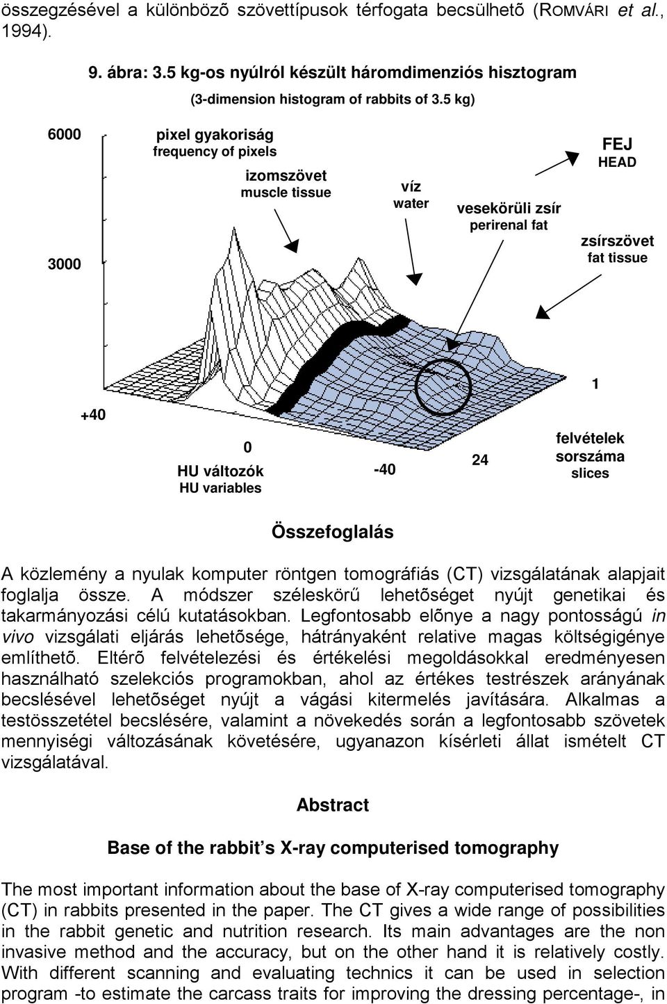 sorszáma slices Összefoglalás A közlemény a nyulak komputer röntgen tomográfiás (CT) vizsgálatának alapjait foglalja össze.