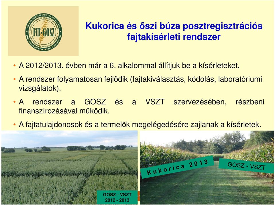 A rendszer folyamatosan fejlődik (fajtakiválasztás, kódolás, laboratóriumi vizsgálatok).