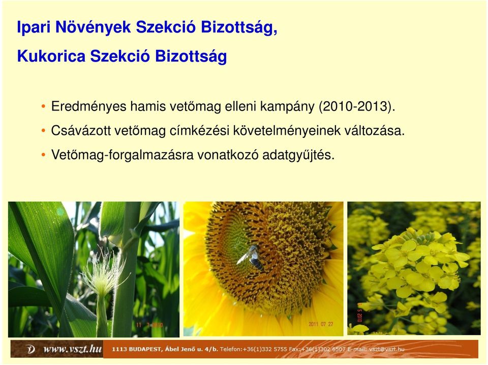 (2010-2013).