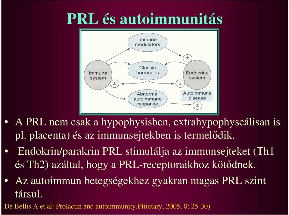 Endokrin/parakrin PRL stimulálja az immunsejteket (Th1 és Th2) azáltal, hogy a