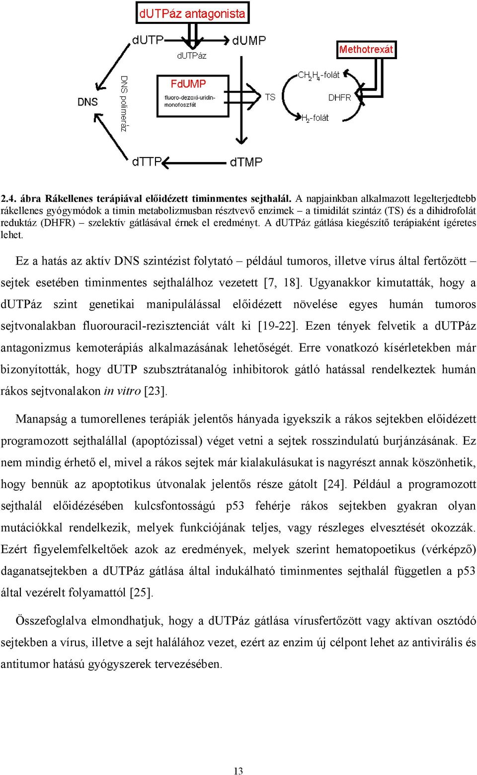 eredményt. A dutpáz gátlása kiegészítő terápiaként ígéretes lehet.
