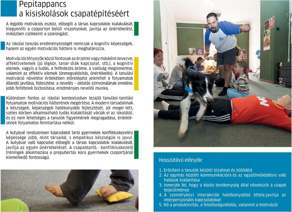 Motivációs tényezők közül fontosak az érzelmi vagy másként nevezve, affektívelemek (jó légkör, tanár-diák kapcsolat, stb.