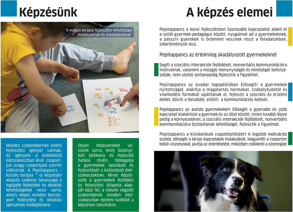 Minden szakembernek eltérő fejlesztési igényei vannak, és igényeik a különböző életszakaszban lévő csoportjuk avagy csoportjaik szerint változnak.