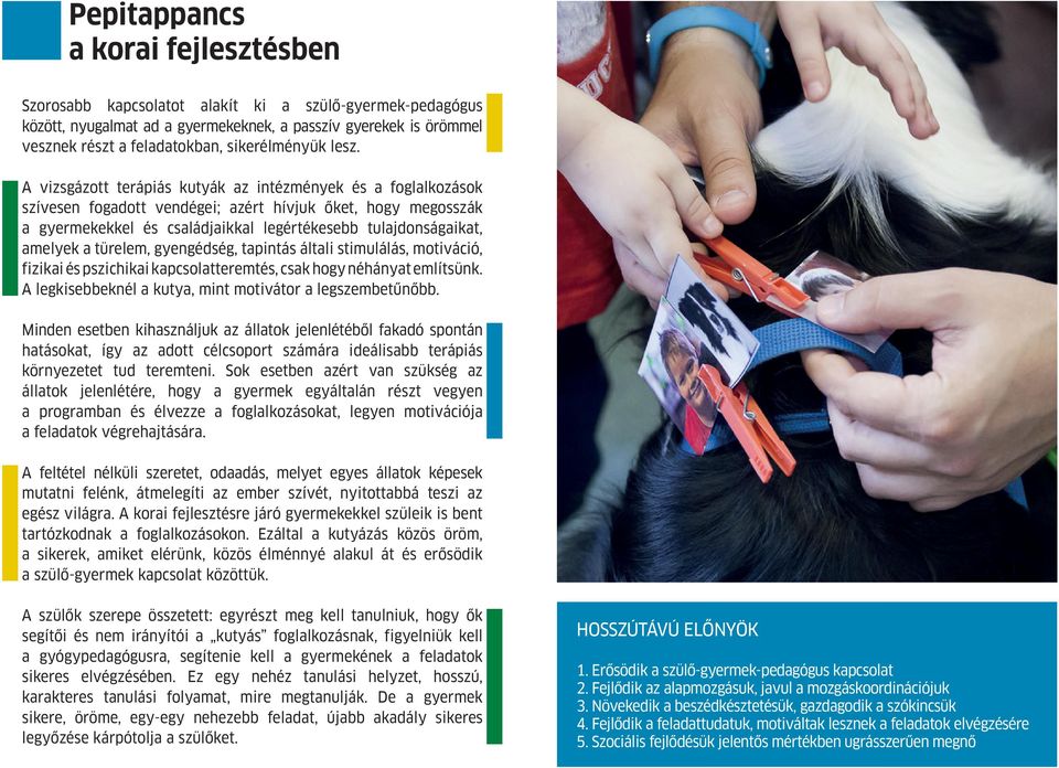 A vizsgázott terápiás kutyák az intézmények és a foglalkozások szívesen fogadott vendégei; azért hívjuk őket, hogy megosszák a gyermekekkel és családjaikkal legértékesebb tulajdonságaikat, amelyek a