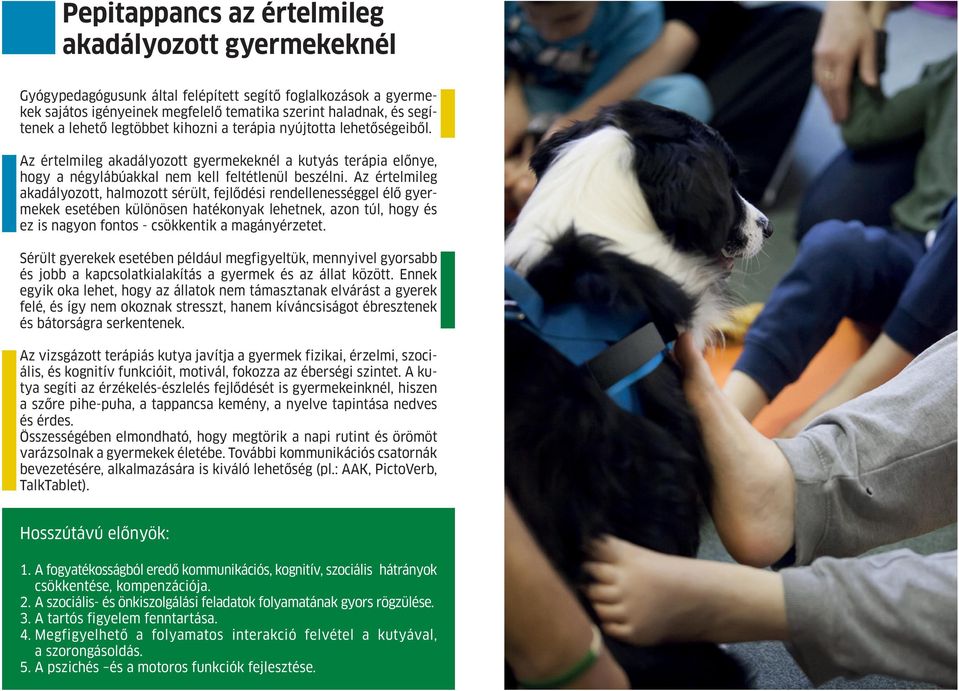 Az értelmileg akadályozott, halmozott sérült, fejlődési rendellenességgel élő gyermekek esetében különösen hatékonyak lehetnek, azon túl, hogy és ez is nagyon fontos - csökkentik a magányérzetet.