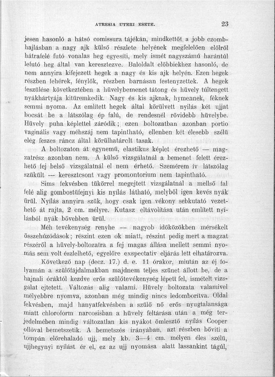 lefutó.heg által van keresztezve. Baloldalt előbbiekhez hasonló, de nem annyira kifejezett hegek a nagy és kis ajk helyén. Ezen hegek részben fehérek, fénylők, részben barnásán íestenyzettek.