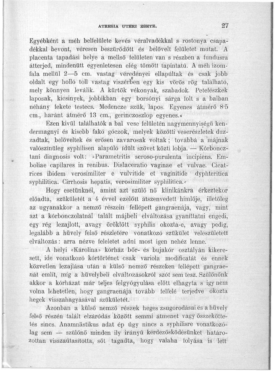 vastag véredényei ellapúltak és csak jobb oldalt egy holló toll vastag viszérben egy kis vörös rög j található, mely könnyen leválik. A kürtök vékonyak, szabadok.