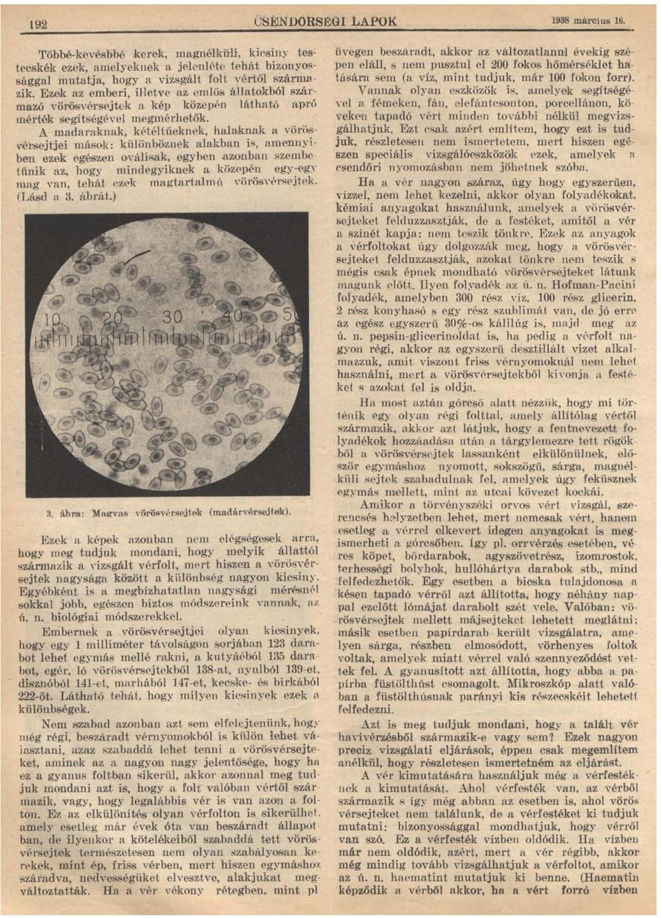 nber randevú eljárás