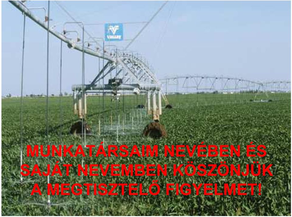 NEVEMBEN KÖSZÖNJÜK