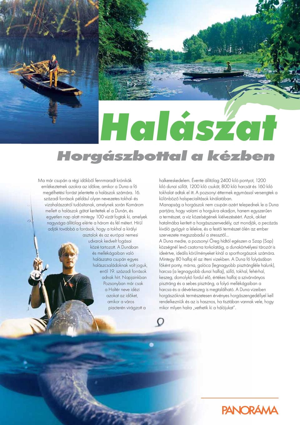 ki, amelyek nagysága állítólag elérte a három és fél métert. Hírül adják továbbá a források, hogy a tokhal a királyi asztalok és az európai nemesi udvarok kedvelt fogásai közé tartozott.