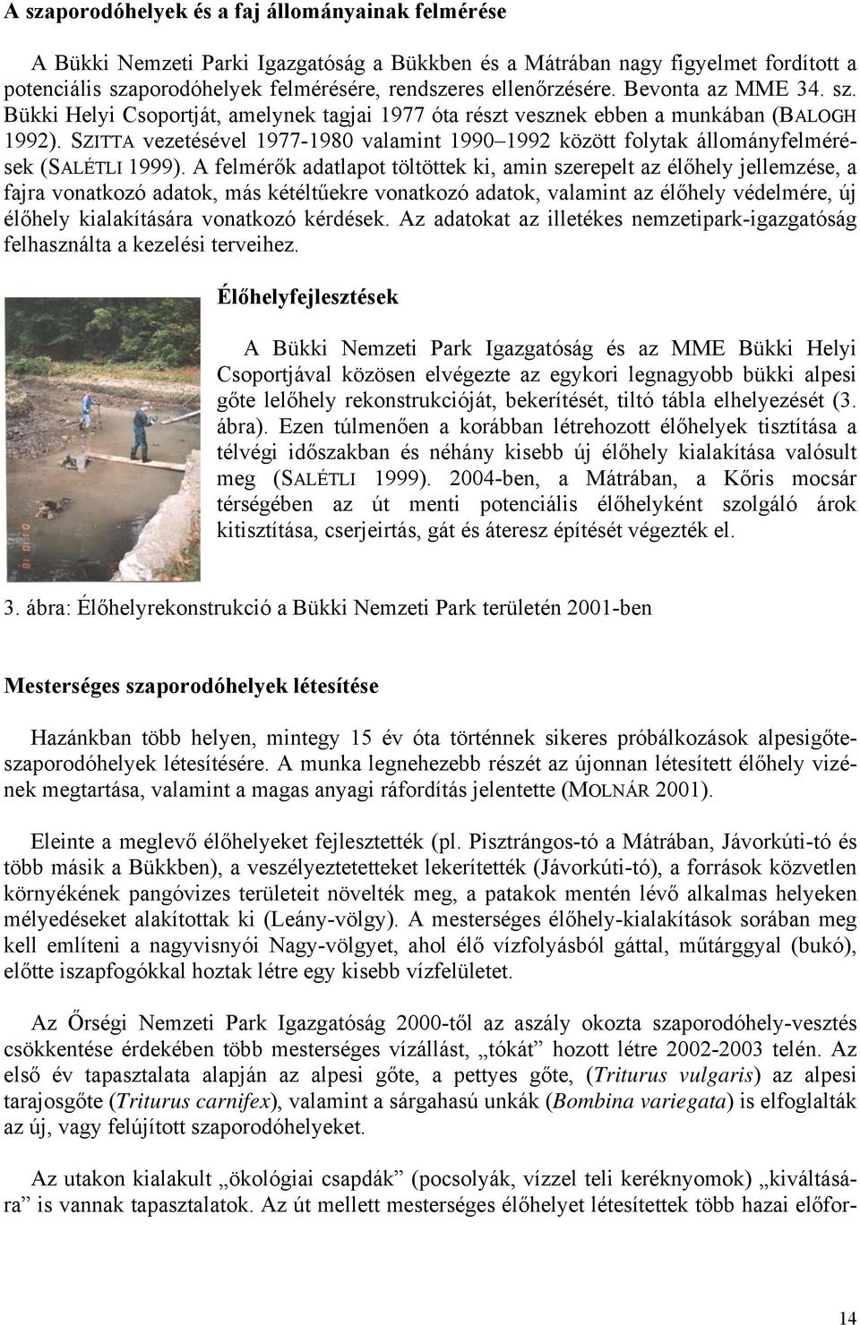 SZITTA vezetésével 1977-1980 valamint 1990 1992 között folytak állományfelmérések (SALÉTLI 1999).