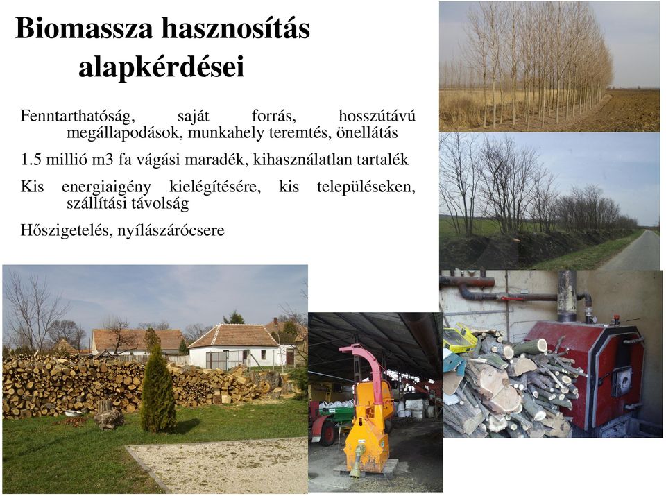 5 millió m3 fa vágási maradék, kihasználatlan tartalék Kis