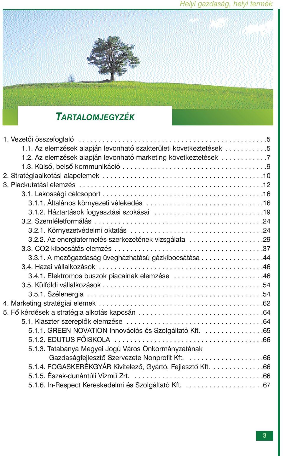 Piackutatási elemzés...............................................12 3.1. Lakossági célcsoport.........................................16 3.1.1. Általános környezeti vélekedés..............................16 3.1.2. Háztartások fogyasztási szokásai.