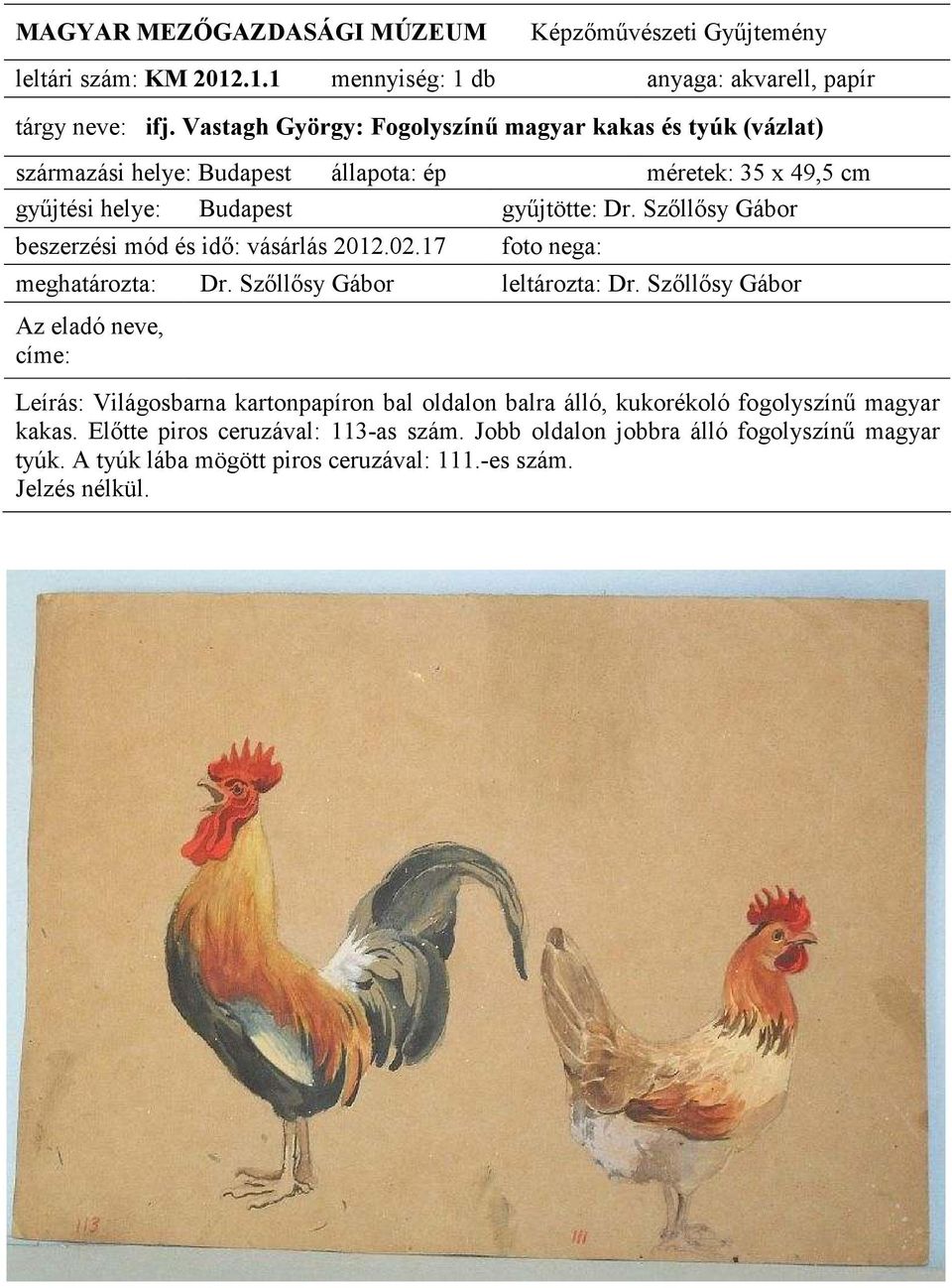 35 x 49,5 Leírás: Világosbarna kartonpapíron bal oldalon balra álló, kukorékoló fogolyszínő magyar kakas.