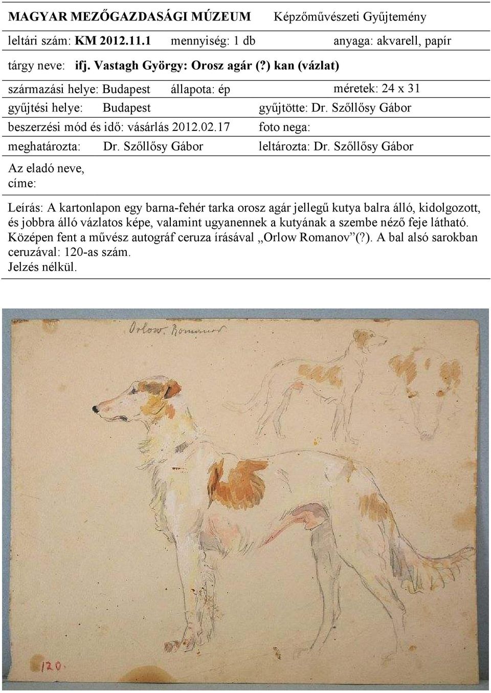 orosz agár jellegő kutya balra álló, kidolgozott, és jobbra álló vázlatos képe, valamint ugyanennek a kutyának a szembe