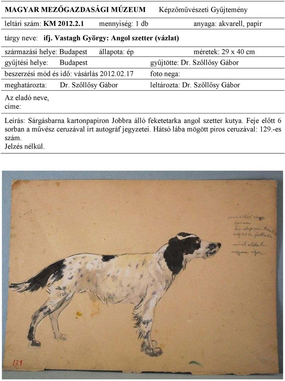 40 Leírás: Sárgásbarna kartonpapíron Jobbra álló feketetarka angol szetter kutya.