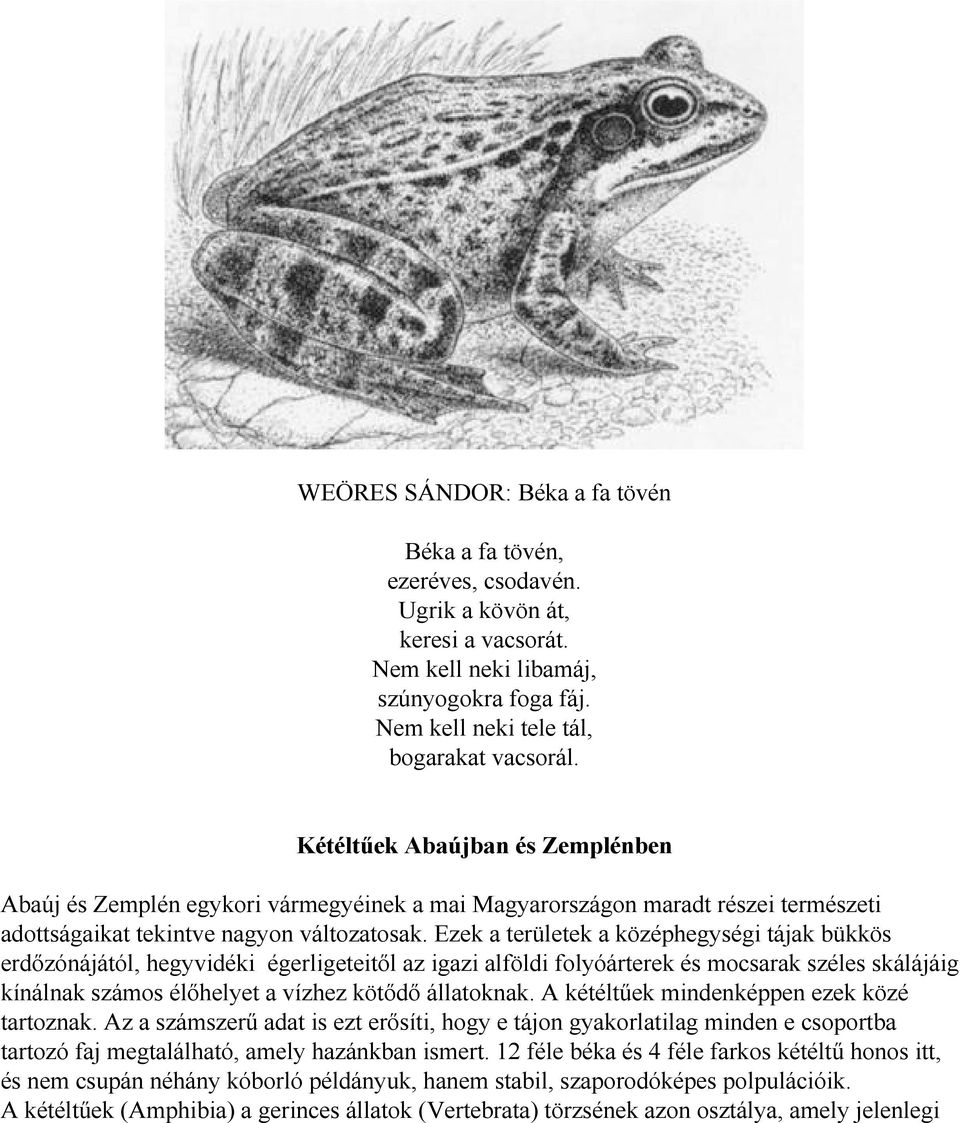 Ezek a területek a középhegységi tájak bükkös erdőzónájától, hegyvidéki égerligeteitől az igazi alföldi folyóárterek és mocsarak széles skálájáig kínálnak számos élőhelyet a vízhez kötődő állatoknak.