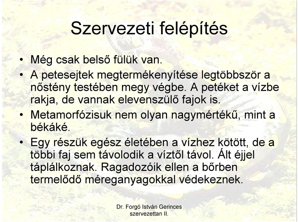 A petéket a vízbe rakja, de vannak elevenszülő fajok is.