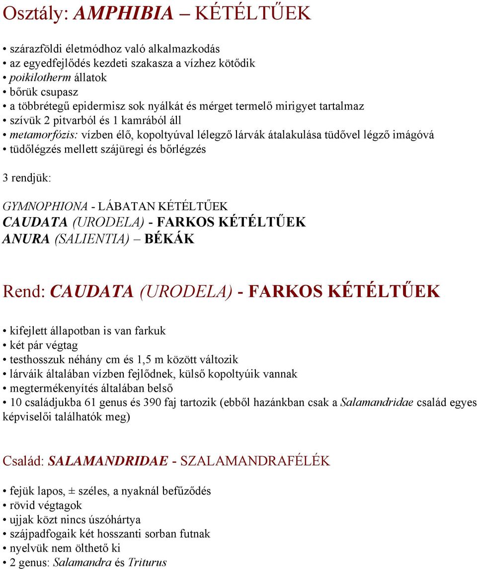 3 rendjük: GYMNOPHIONA - LÁBATAN KÉTÉLTŰEK CAUDATA (URODELA) - FARKOS KÉTÉLTŰEK ANURA (SALIENTIA) BÉKÁK Rend: CAUDATA (URODELA) - FARKOS KÉTÉLTŰEK kifejlett állapotban is van farkuk két pár végtag