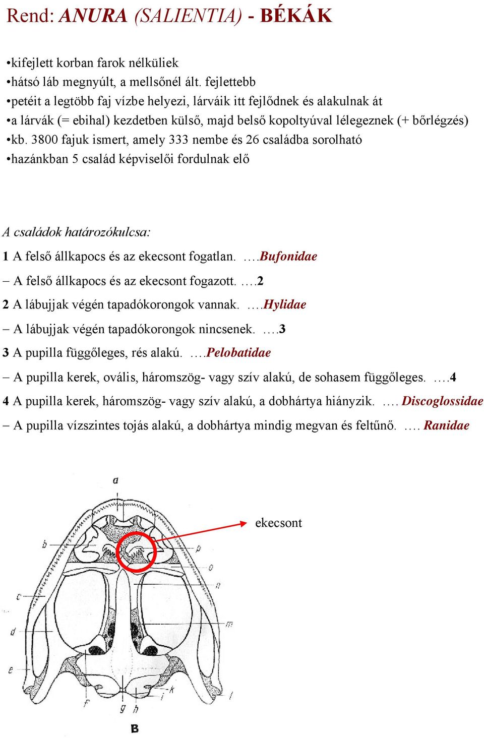 3800 fajuk ismert, amely 333 nembe és 26 családba sorolható hazánkban 5 család képviselői fordulnak elő A családok határozókulcsa: 1 A felső állkapocs és az ekecsont fogatlan.