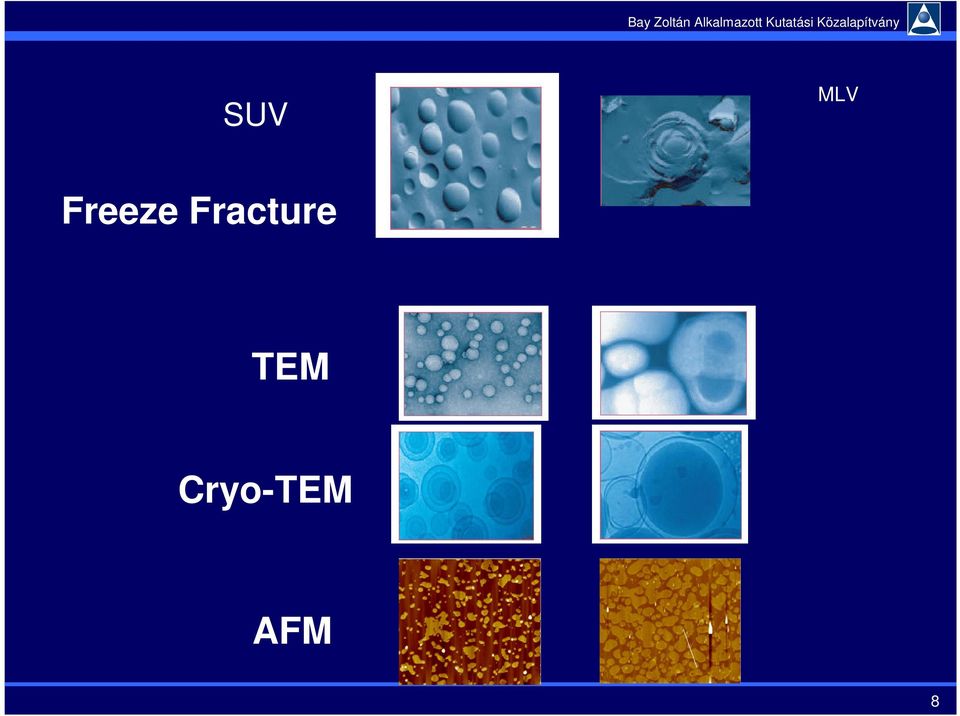 Fracture