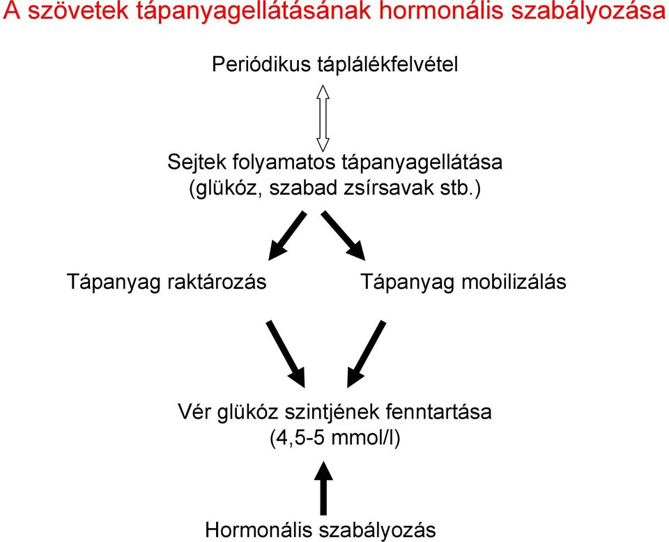 szabad zsírsavak stb.