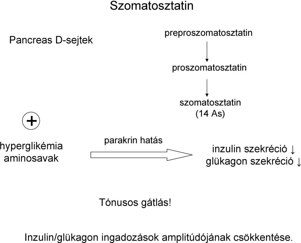 szomatosztatin (14 As) inzulin szekréció glükagon szekréció