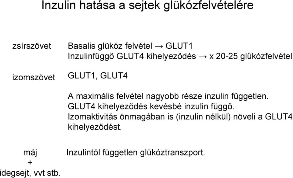 része inzulin független. GLUT4 kihelyeződés kevésbé inzulin függő.