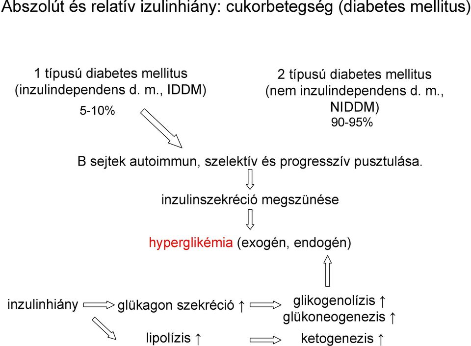 inzulinszekréció megszünése hyperglikémia (exogén, endogén) inzulinhiány glükagon szekréció