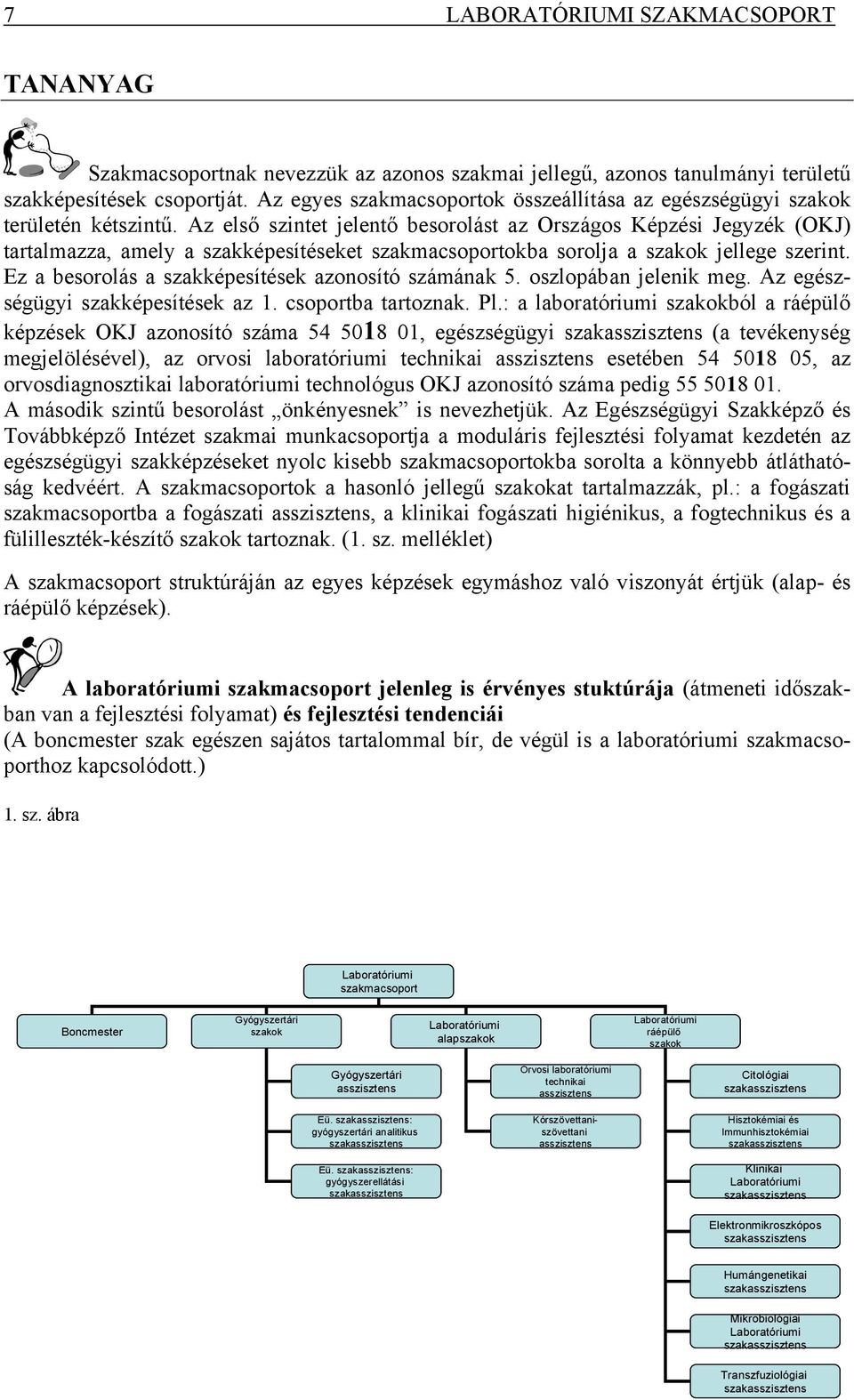 Az első szintet jelentő besorolást az Országos Képzési Jegyzék (OKJ) tartalmazza, amely a szakképesítéseket szakmacsoportokba sorolja a szakok jellege szerint.