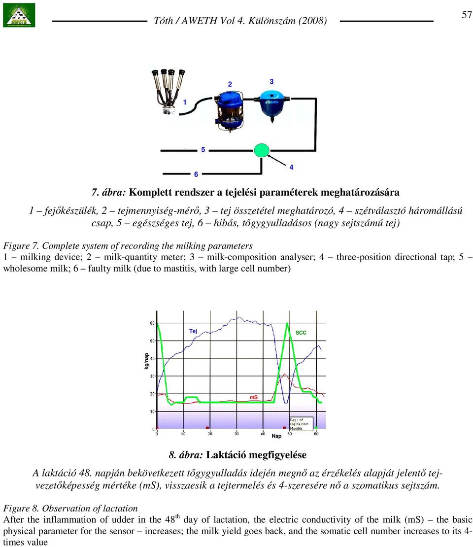 tıgygyulladásos (nagy sejtszámú tej) Figure 7.