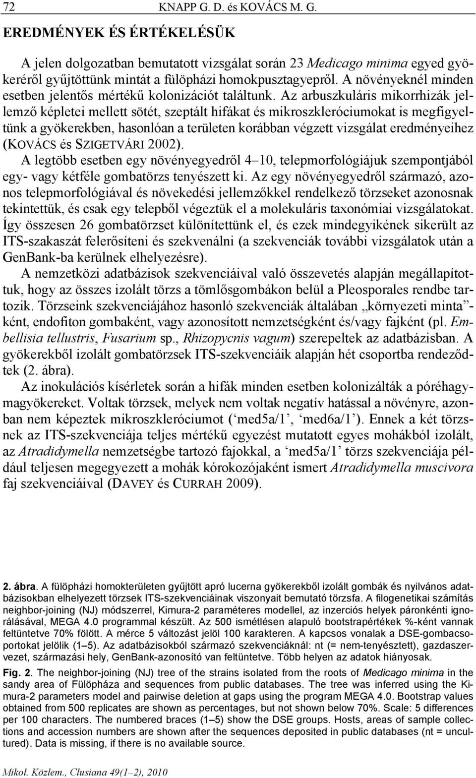 Az arbuszkuláris mikorrhizák jellemző képletei mellett sötét, szeptált hifákat és mikroszkleróciumokat is megfigyeltünk a gyökerekben, hasonlóan a területen korábban végzett vizsgálat eredményeihez