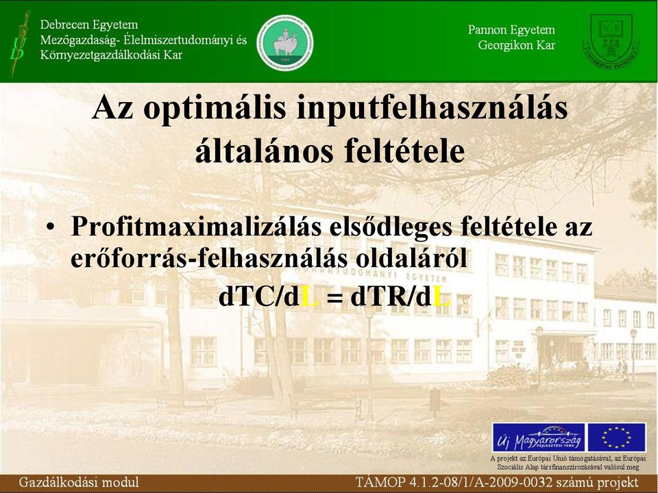 Profitmaximalizálás elsődleges